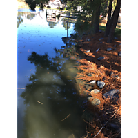 Day after the king tide York county Poquoson image